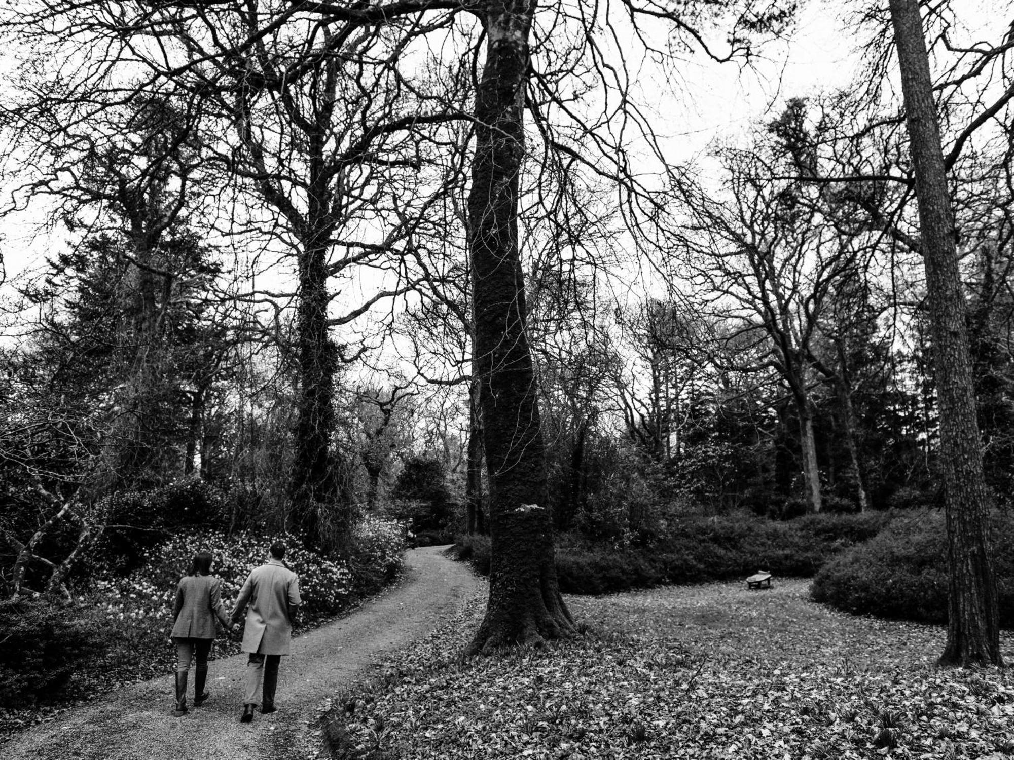 The Forest At Mount Congreve Gardens Kilmeaden Exteriér fotografie